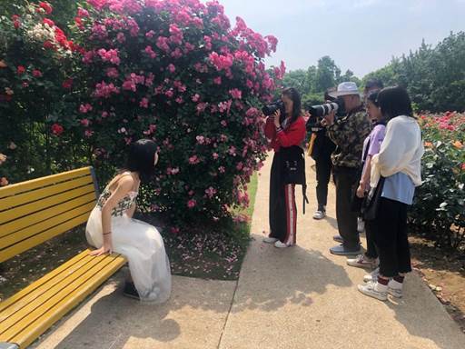 QQ图片20190528202520